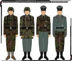 Image result for Waffen SS Color