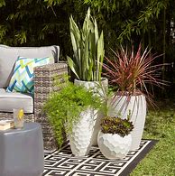 Image result for Patio Garden Planters