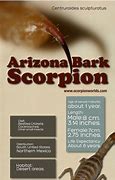 Image result for Arizona Bark Scorpion Map