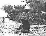 Image result for My Lai Massacre Soldiers