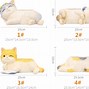 Image result for Stylized Cat Planters