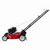 Image result for Push Lawn Mowers Gas Powered