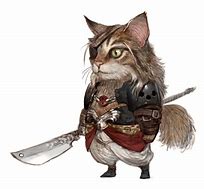 Image result for Dungeons and Dragons Cat Character