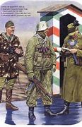 Image result for Hungarian Army Equipment
