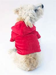 Image result for Men's Velour Sweatshirt Red