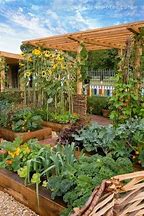 Image result for Cute Vegetable Garden Ideas