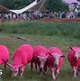 Image result for Sheep Song