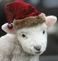 Image result for Christmas Farm Animals