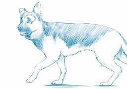 Image result for How to Draw a Pet into a Human
