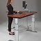 Image result for Adjustable Standing Desk with Storage