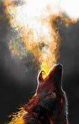 Image result for Wolf On Fire