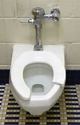 Image result for Broken Toilet Seat