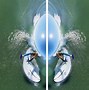 Image result for Inflatable Surfboard