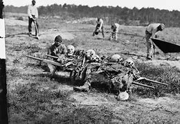 Image result for World War 1 Soldiers Dying