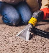 Image result for Spot Cleaning Carpet