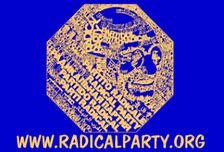 Image result for Italian Radical Party