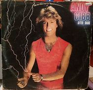 Image result for Andy Gibb After Dark