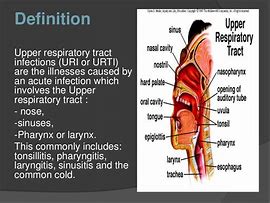 Image result for Upper Respiratory Tract Infection