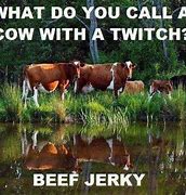 Image result for Farm Joke Cartoons Funny