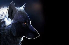 Image result for Cool Black Wolf
