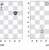 Image result for Chess Variants