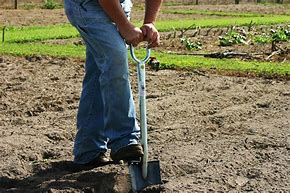 Image result for Public Domain Picture of a Garden Spade Tool in the Dirt