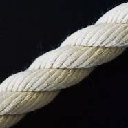 Image result for Twisted Rope