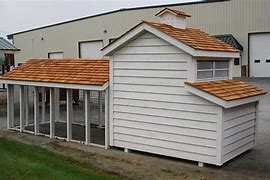 Image result for Covered Chicken Run