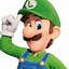 Image result for Mario Bros Game Luigi
