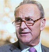 Image result for Charles Chuck Schumer