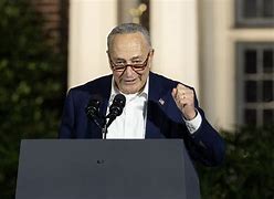 Image result for Charles Schumer Home