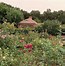 Image result for Rose Garden Landscaping