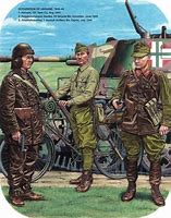 Image result for Hungarian Military Cold War