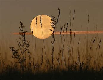Image result for free images of harvest moon