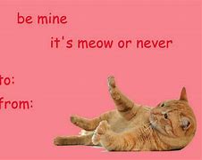 Image result for Cat Meme Valentine Cards