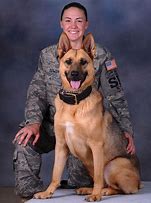 Image result for Working Dogs Military Heroes