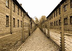 Image result for Heinrich Himmler Camp