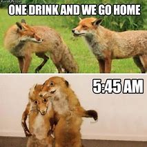 Image result for Friday Night Funny
