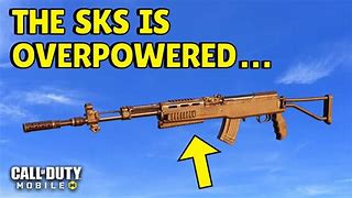 Image result for SKS Call of Duty