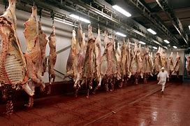 Image result for Contaminated Meat