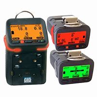 Image result for Gfg G450-11410 Multi-Gas Detector,Co/H2s/Ch4/O2,Black