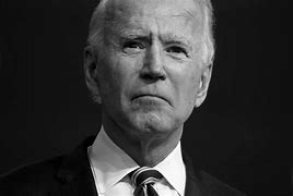 Image result for Joe Biden as President
