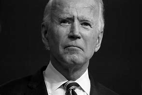 Image result for Joe Biden Face Portrait
