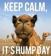 Image result for Happy Hump Day Motivation