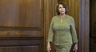 Image result for Pelosi Suits