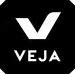 Image result for Veja V1.0 Sneakers