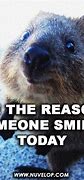 Image result for Quotes Positive Funny Awesome