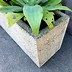 Image result for Outdoor Cement Planters