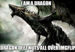 Image result for Dragon Meme Jokes