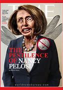 Image result for Nancy Pelosi Magazine